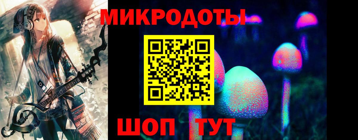 Псилоцибиновые грибы Cubensis Славянск-на-Кубани